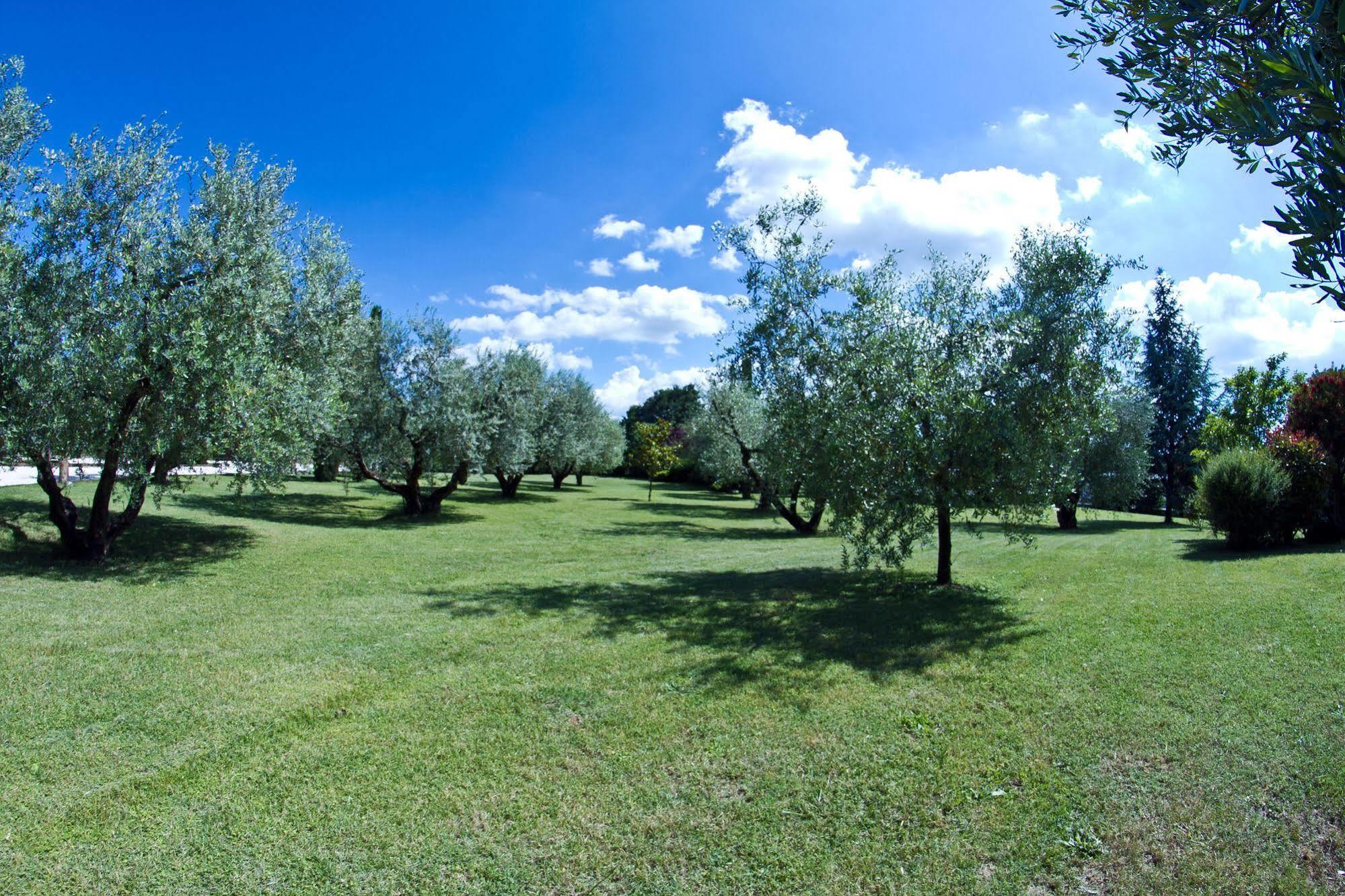 Aldero Hotel Civita Castellana Dış mekan fotoğraf